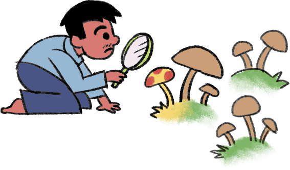 A boy is crouched towards the ground holding a magnifying glass in his hand observing a strange coloured mushroom in a patch.